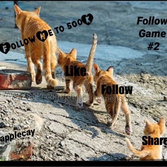 500K Woohoo…Thank You….FG #2 - Picture 2 of 12